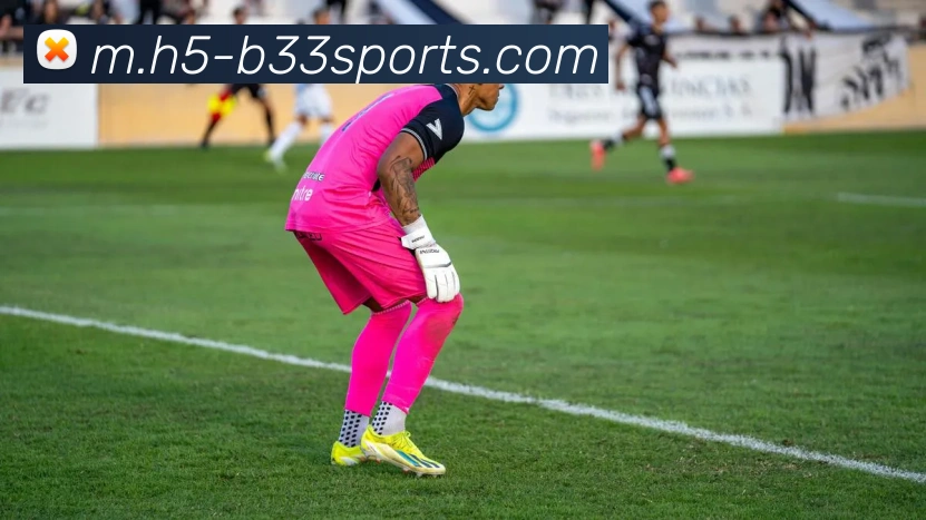 球赛投注服务体系